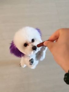 ขนมสูง ขนมหมา แถบเนื้อ 500g / บริษัท โปรตีนสูง ไขมันต่ำ การพกพา อาหาร / อาหารสุนัข / ของใช้ สุนัข ทันที"