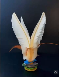 Kick Shuttlecocks White Goose Feathers Kick Shuttlecock Jianzi Foot Sports Outdoor Toy Game