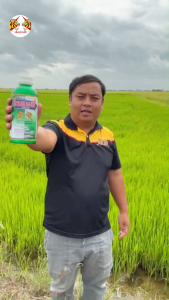 ไทอะมี่ มิกซ์สูตรพิเศษ (ใช้ดีมาก) น็อคและดูดซึม สำหรับกำจัดแมลง ออกฤทธิ์ทันทีหลังฉีดพ่น (ของแท้)