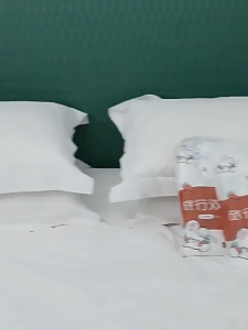 Bunny Travel Disposable Bed Sheet Set 兔子款印花旅行一次性床单 Sarung Selimut Bantal Travel Portable Quilt Cover Pillowcase