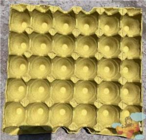 Jiaxun | Paper Egg Tray 30 Pcs