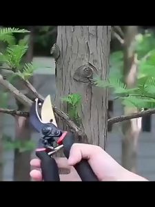 Sk5 Pruning Shears Garden Scissors Tree Cutter Plant Scissor Clip Pruning Shears Trimmer Cutter Gunting Pokok Bunga