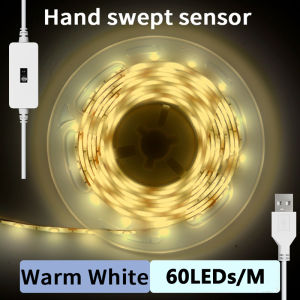 Intelligent LED Strip Light with Motion Sensor Dimming 60LED Switch USB Flexible Lighting for Wardrobe Room TV Backlight Cabinet