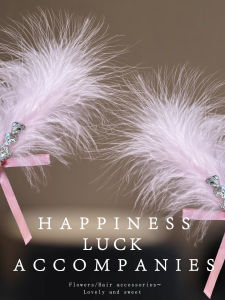 ENEN | Romantic Bow Feather Rhinestone Side Hair Clip