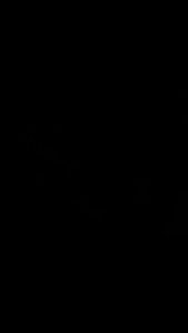 N730K-4GD3/OCV1 MSI PRELOVED