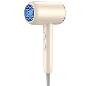 Phim Quay Cao Tốc 800W 1000W Dùng Tại Nhà Ký Túc Xá Phim Quay Nhanh Không Gây Hại Cho Tóc Điện Thoại Di Động Màu Xanh Lam