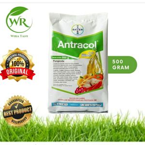 Antracol Fungisida 500 Gram original 100% [bayer]