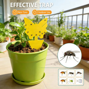 30Pcs Sticky Traps Double Sided Waterproof Non-Toxic Odorless Fungus Gnat Aphid Whitefly Trap Home Garden Kitchen Indoor Outdoor