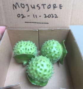 Pakan burung lovebird biar gacor - Kualitas super