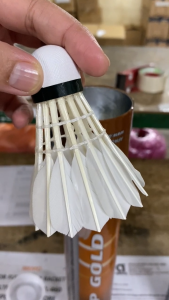 APACS GP GOLD Badminton Feather Shuttlecock (Intermediate Level)