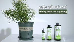 Giấm gỗ sinh học DOCNEEM  - Phòng ngừa xua đuổi côn trùng cải tạo đất tạo lập hệ vi sinh vật cho đất