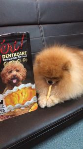 100g 148g Zert Dentacare Dessert Dog Dental Sticks Snack Dogs Treats All Stages Adult Puppy