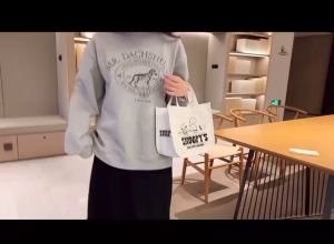 กระเป๋าผ้า กระเป๋าถือ สไตล์เกาหลี แฟชั่น กระเป๋าถือ กระเป๋าผ้า