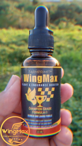 [3 BOTTLES ] WingMax Champion Elite Pigeon Power Formula