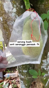 Fruit Protection Bags Net Pest Control Grape Bags Anti-Bird Garden Netting Mesh Grape Big Size Grow Bags