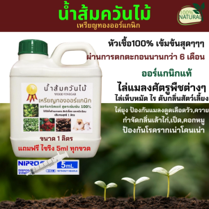 น้ำส้มควันไม้ 1 ลิตรแพค3ขวด สูตรเข้มข้น100% ไม้สะเดา ไล่แมลง ป้องกันเพลี้ย ไล่เห็บหมัด ดับกลิ่น