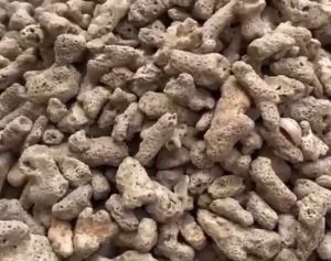 OCEAN PARADISE Coral Stone Bio Filter Media Aquarium Coral Bone Stone Aquascaping Batu Karang