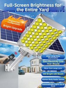 Maiyu | Super Bright High Power Induction Street Light