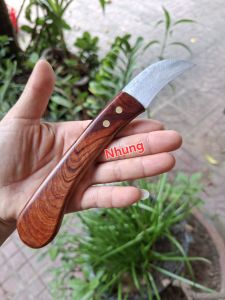 Dụng Cụ Cắt Gõ Sầu Riêng Bản Cong Cán Gỗ Chỉ Nhỏ Gọn