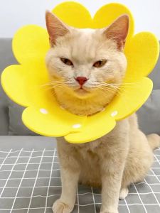 คอลล่า ปลอกคอกันเลีย คอลล่าโฟม กันเลีย คอลล่าแมว มี 4 ขนาดให้เลือก คอลล่าสัตว์เลี้ยง ลำโพงสุนัข คอลล่ากันเลีย นิ่มสบาย คอลล่าดอกไม้