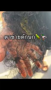 ตาข่ายดักนก 2-9 เซน ยาว 2.5-3 เมตร กลาย 9-14 เมตร อวนดักนก ดางดักนก ตาข่ายดักค้างคาว ตาข่ายจับนก พิราบ ที่ดักนก ที่จับนก อวนดำ ตาข่ายดำ นก ดักนก