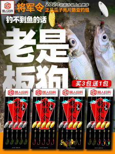 New 2025 Glitter Set Far Casting Fly Hook Ready White Stripe Blue Guppy Lure Shiner Spicy Shiner for River Lake Reservoir Stream