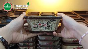 Pot Bonsai Keramik Mame - Hitam