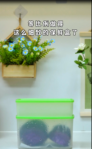 Tupperware 800ml hộp đựng thức ăn kín tủ đông-An toàn Stackable BPA-free hộp lưu trữ thực phẩm (4 cái)