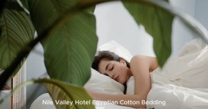 5 Star Hotel Egyptian Cotton 1600TC Flat Fitted Set with Free Pillow