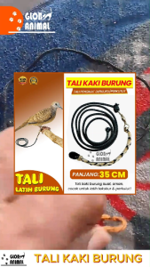 TALI KAKI BURUNG ikat kaki latih pengikat derkuku perkutut tekukur