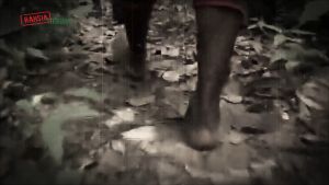 RED TONGKAT ALI ROOT SLICES (100g) | Boost stamina and energy