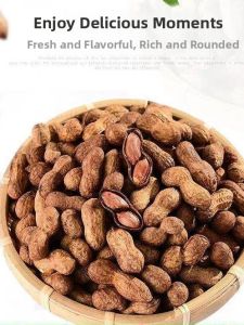 GUOXIANGQIAN | Crunchy Shell On Peanut Snack