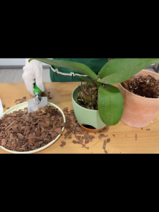 Premium Pine Bark Nuggets Organic Orchid Bark for Plants Natural Pine Bark Wood Chips for Orchid Plants Root Development