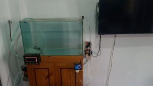 Zhafira Tambah Air isi air Otomatis Aquascape Akuarium auto Top Up Top