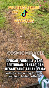 【Factory Price】Overnight Kills Weeds and Trees 🌿  racun rumput paling kuat Racun pokok kayu besar 500g Racun pokok paling kuat Tree killer 【Malaysia No.1】100% kill Shrubs/Weeds/Sambau /Bamboo racun rumput mati akar 除草剂 Hexazinone Grass killer Weed killer