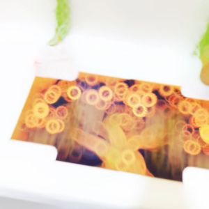 HIASAN DINDING ELEGAN BUNGA EMAS SET ISI 4 AESTETIK FLOWERS DEKORASI RUMAH WALL DECOR KAMAR