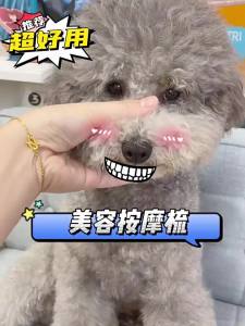 7o | Massaging Fluffy Dog Grooming Comb