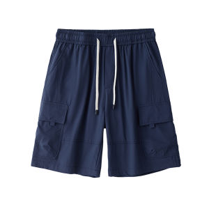Mens Ice Silk Thin Quick-dry Casual Shorts 5 Divisions