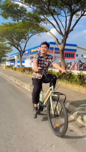 Sepeda City Bike ELEMENT BERGAMOUNT BERGAMONT 26 Inch 7 Speed Model Classic Garansi Resmi 5 Tahun