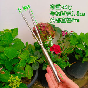 Home Garden Single Double Stainless Steel Fork Loose Soil Flower Pot Gardening Tools Sharp Durable New Model for Planting Flowers
