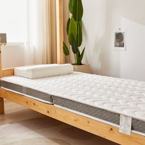 ที่นอนยางพาราปาล์มมะพร้าวเสื่อทาทามิใช้ในบ้านฟูกเพิ่มความหนาสั่งทำสำหรับหอพักนักเรียนคนเดียวเบาะแข็ง