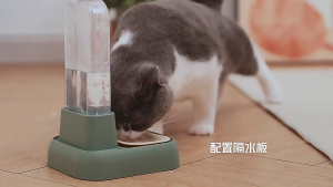 【SG Seller】500ML Dog Cat Auto Feeder  Pet Automatic Feeder  Drinker Food Water Dispenser Bowl Auto Pet Feede