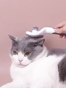 [10อัน] แปรงหวีขนสัตส์เลี้ยง  หวีแรงขนรูปวงกลม จับถนัดมือ ใช้ง่ายง่าย  น้องแมวชอบมากๆ oo99