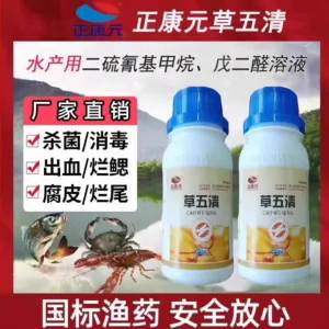 💗🙋‍♀️💗草五清水产养殖草鱼鲫鱼鱼强效消毒出血烂鳃赤皮肠炎打印病