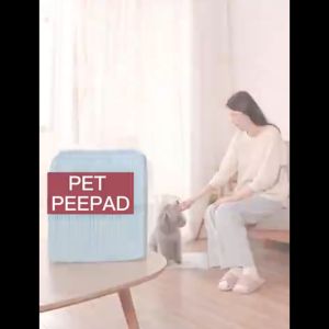 SOAR High Absorbent Non-Woven Fabrics Disposable Portable Training Pet Changing Pad Supplies