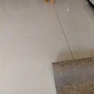 Bàn cào móng mèo lượn sóng kèm canip làm bằng chất liệu cartong phụ kiện cho thú cưng sạch móng - GiGi Pet Shop