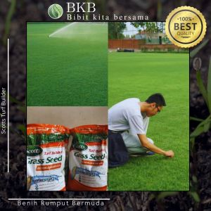 Scotts Turf builder Bermuda Grasseed 10gram Benih rumput untuk Lapangan Sepak bola - Taman - Golf 10gram kemasan Repack