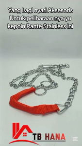 Rantai anjing stainles kucing monyet hewat peliharaan ukuran 3 mm panjang 1.5 meter