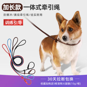 Choosing the Right Yi Xiao Training Rope & Dog Traction Leash