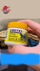 🇸🇬 GOBETTA SUMA Fish Food Pellet Thick Builder Scale and Tail | Fish Pellet for Scale & Tail Enhancer Betta Fish Suma Thai BETTA SHOP BETTA STORE FISH SHOP BETTA OUTLET BETTA RETAIL BETTA RETAIL SHOP BETTA SINGAPORE ONLINE SHOP BETTA MARKET BETTA FISH - Lazada